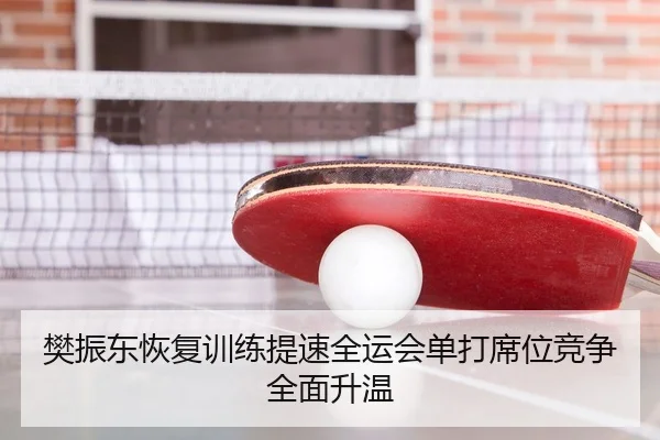 樊振东恢复训练提速全运会单打席位竞争全面升温